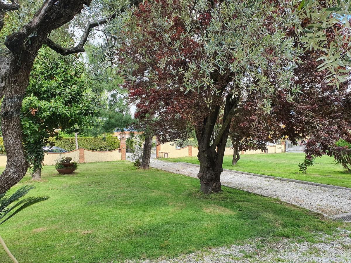 La Casetta Di Silvio Capezzano Pianore Esterno foto