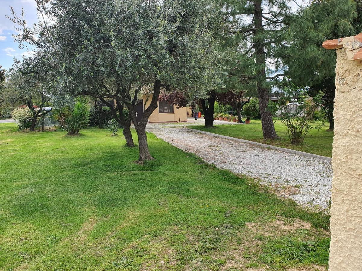 La Casetta Di Silvio Capezzano Pianore Esterno foto