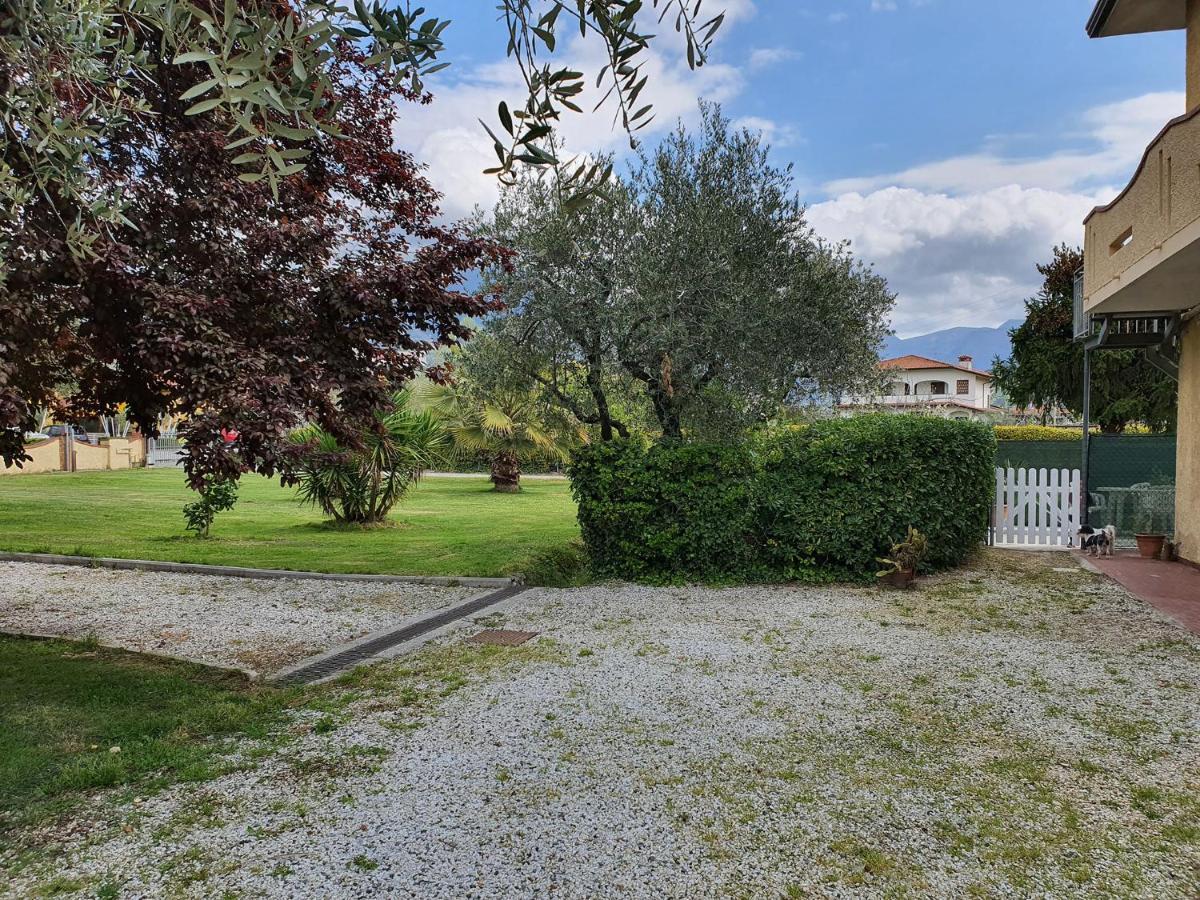 La Casetta Di Silvio Capezzano Pianore Esterno foto
